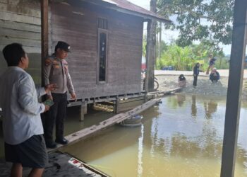 Anak 10 Tahun Diterkam Buaya Sangatta Saat Banjir, Warga Harus Lebih Waspada