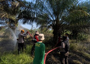 Karhutla Susulan di Sangatta Utara, FKDM Kutim Minta Warga Tingkatkan Kewaspadaan