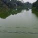 Air Sungai Sangatta Berubah Hijau, FKDM Kutim Soroti Indikasi Intrusi Air Laut dan Ancaman Pasokan Air Bersih
